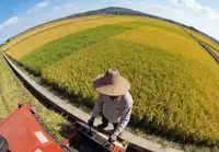 平安证券的佣金政策是怎样的？与其他券商相比有何差异？