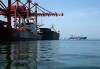 基金增仓背后的逻辑是什么？如何根据基金增仓筛选潜力股票？
