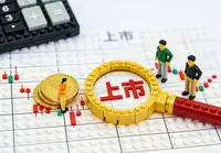 博格作为投顾的投资决策与市场压力