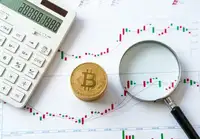 对冲股票时如何精准确定期权数量？有哪些实用的计算方法和策略？
